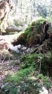 Wandern entspannt